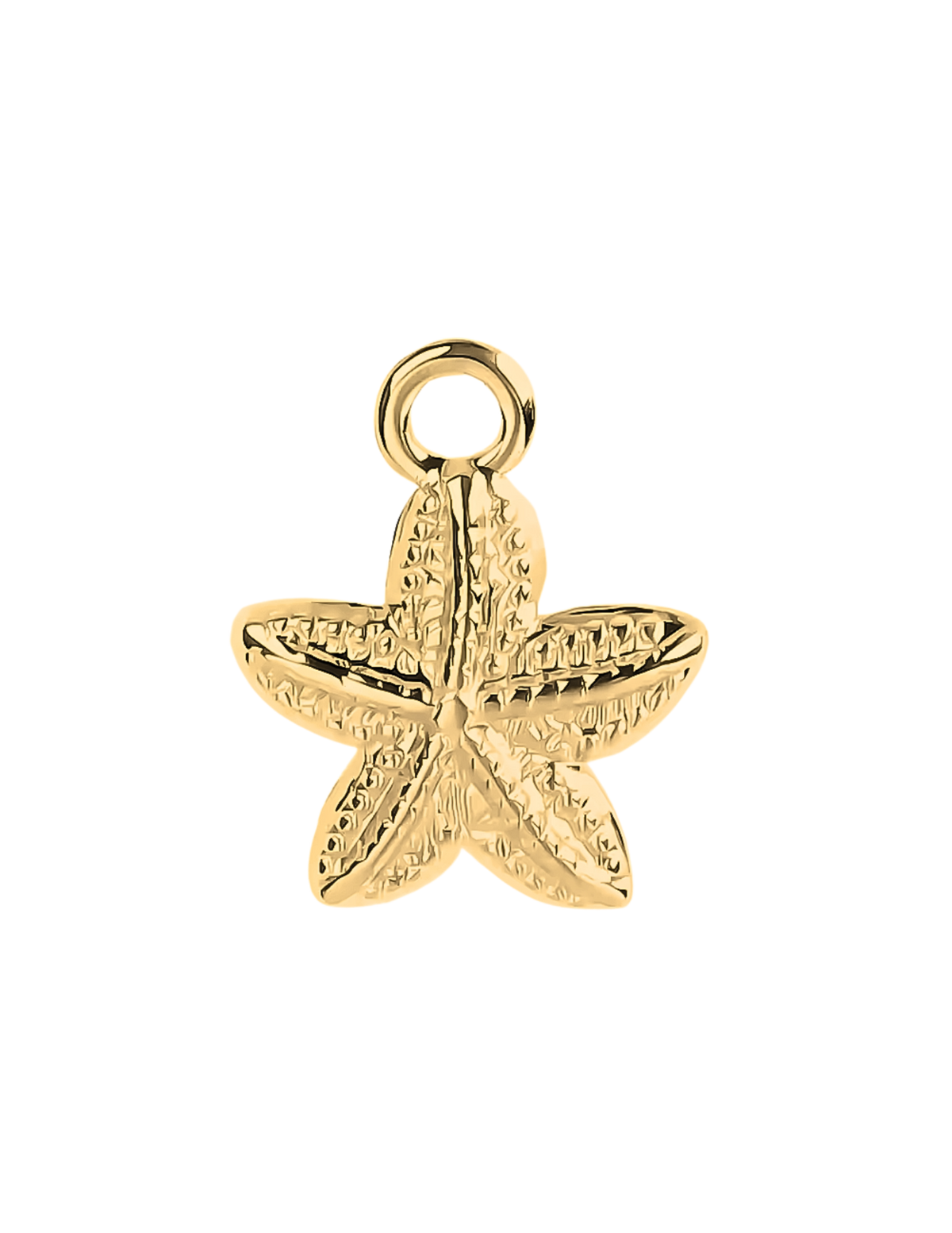 Etoile de Mer Charm