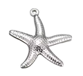 Etoile de Mer Charm