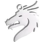 Dragon Charm