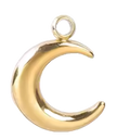 Lune Charm