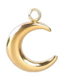 Lune Charm