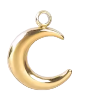 Lune Charm