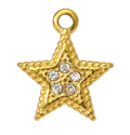 Etoile 5 branches Strass Charm