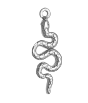 Serpent Argenté Charm
