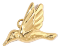Colibri Oiseau Doré