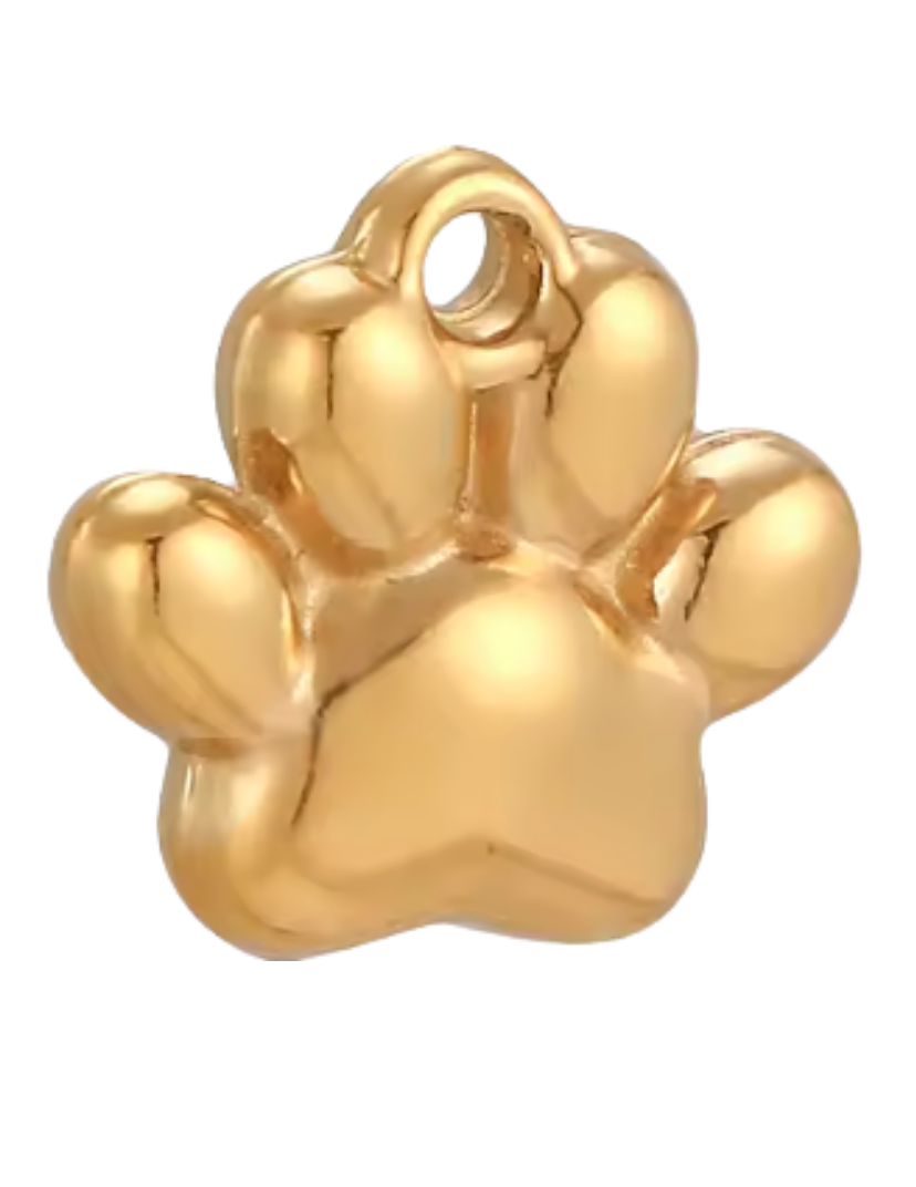 Patte Chien Chat Charm