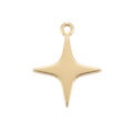 Etoile 4 branches Charm