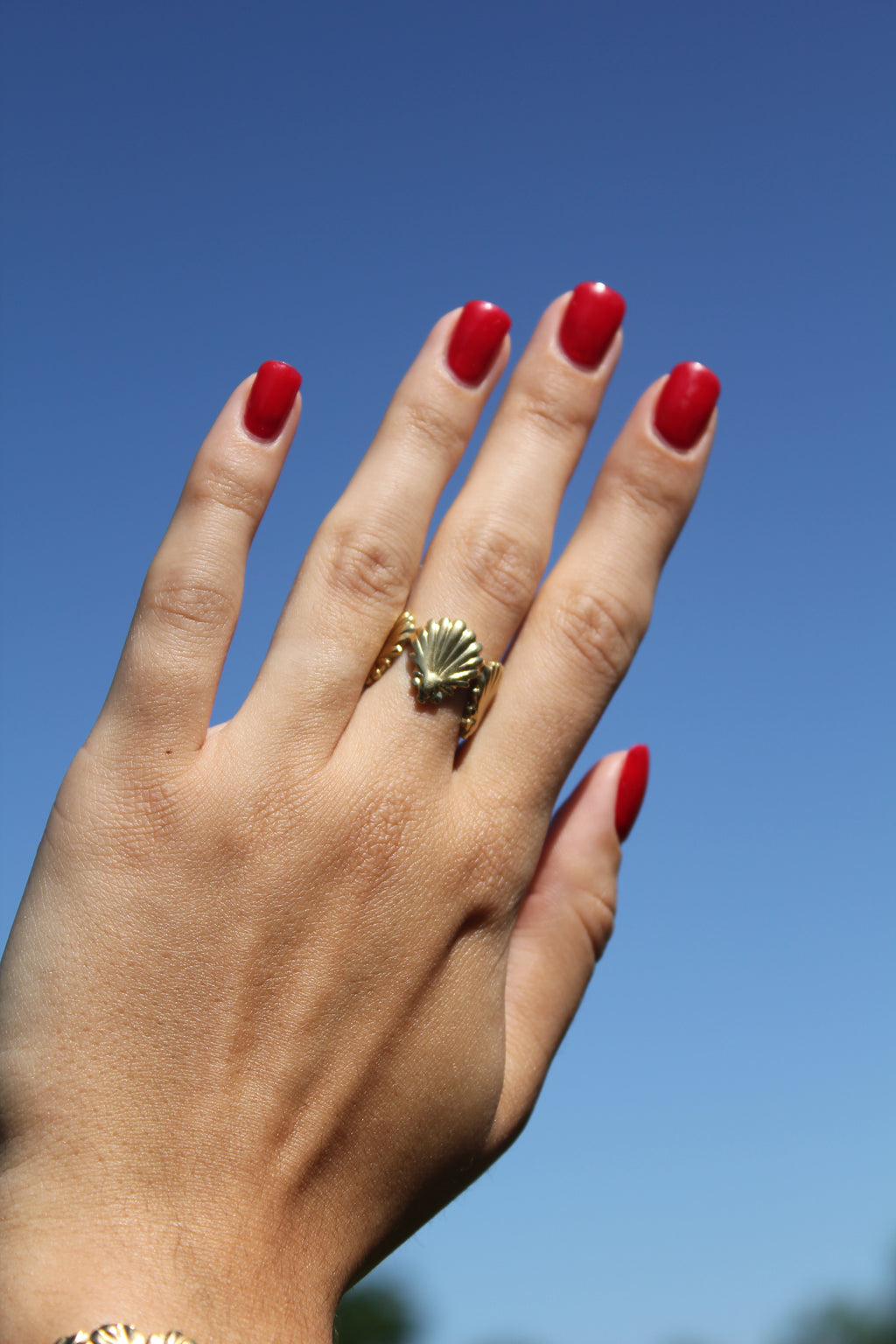 Nautica - Bague Coquillage Bague