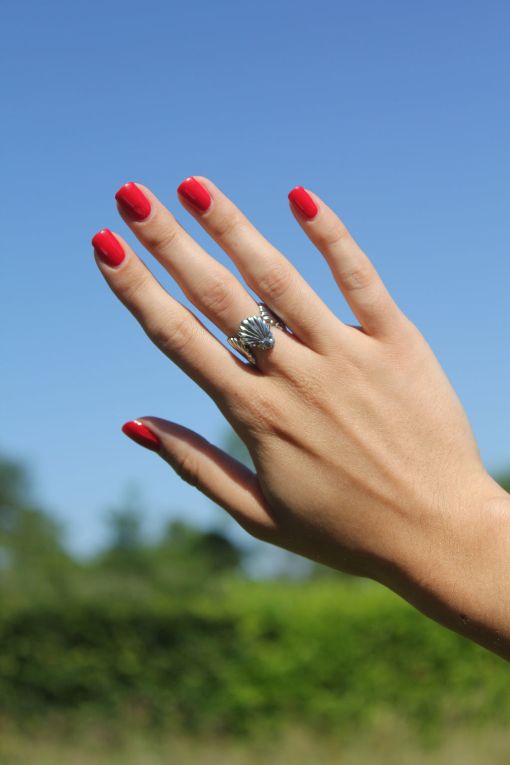 Nautica - Bague Coquillage Bague