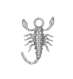 Scorpion Charm