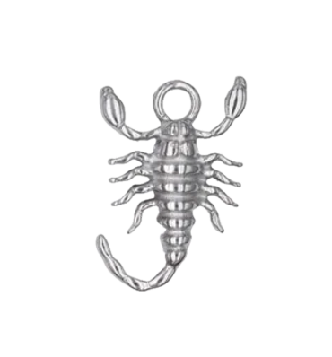 Scorpion Charm
