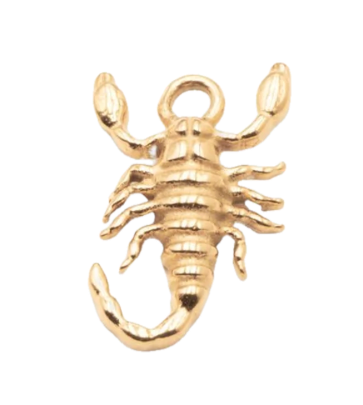 Scorpion Charm