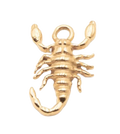 Scorpion Charm