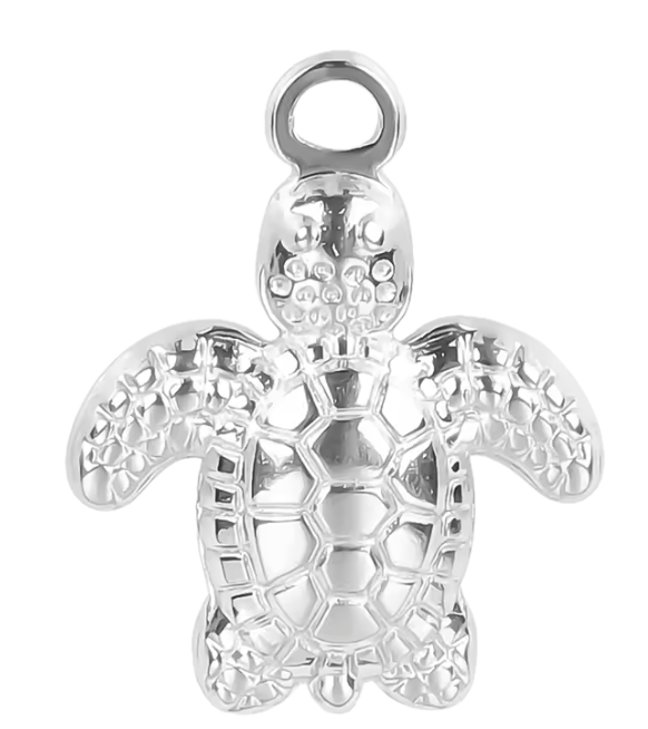 Tortue Charm