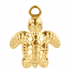 Tortue Charm